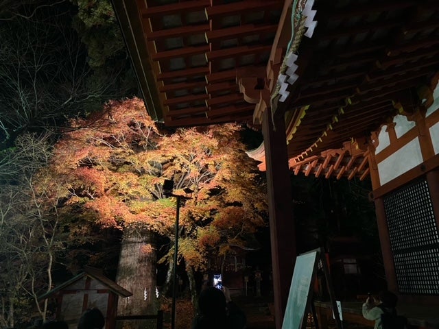 紅葉