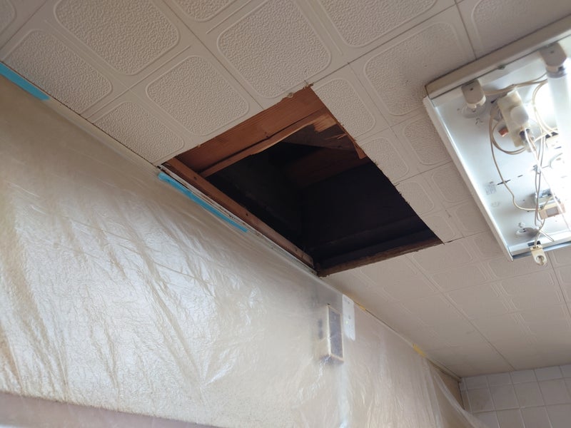 建物の人間ドック