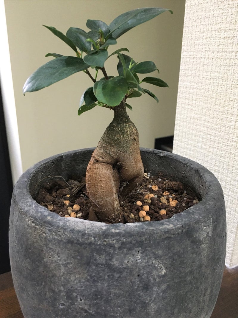 存在感